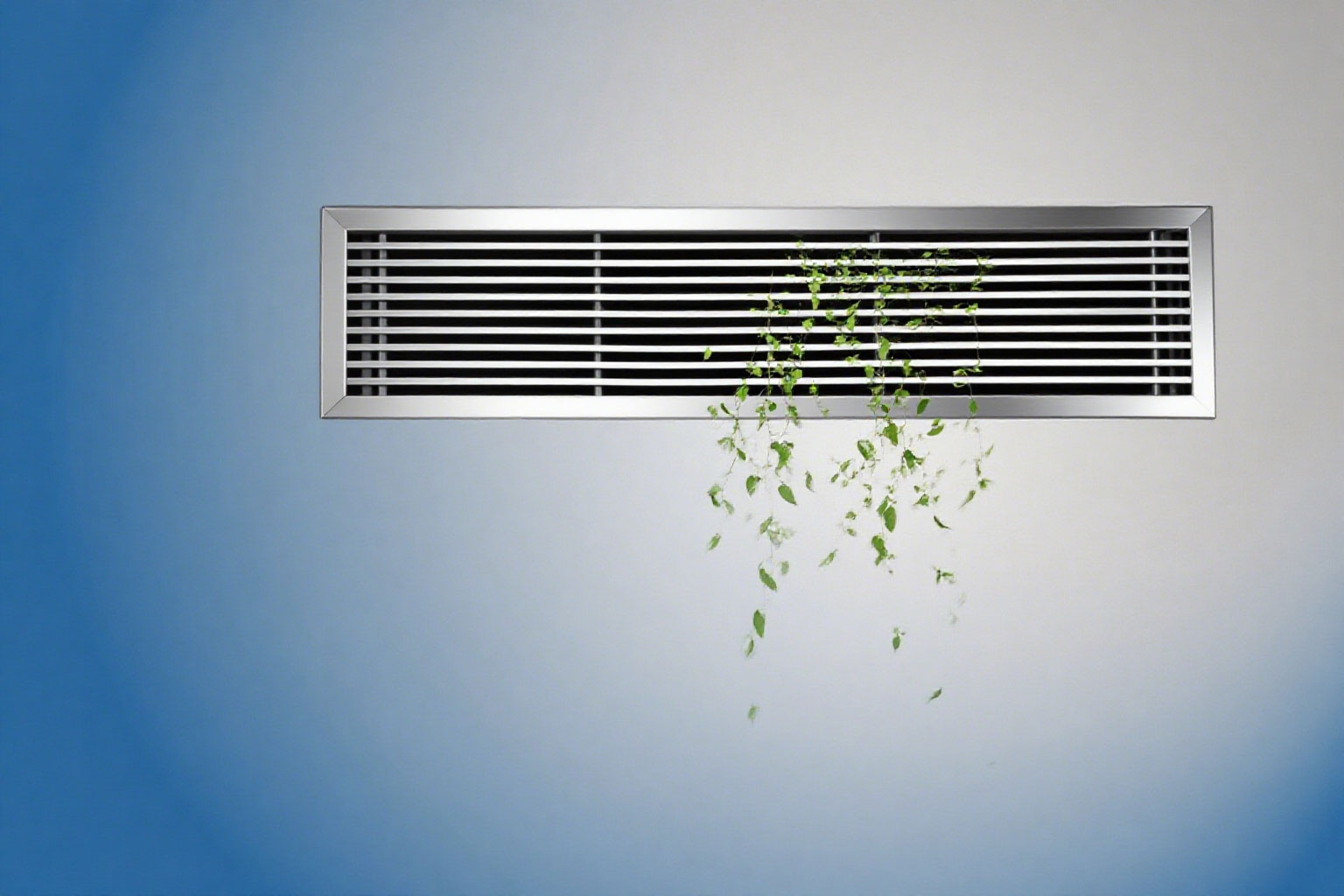 ��ʱ������(�й���)�������ǲ�!